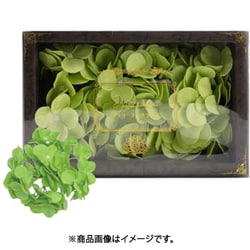 アジサイフレグランス 3輪入り 750793