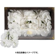 アジサイフレグランス 3輪入り 750823