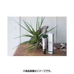 ヨドバシ.com - グリーンボトル Green Bottle グリーンボトル