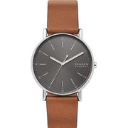 ヨドバシ オファー 時計 skagen