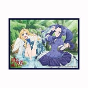 クロックワークス スリーブコレクションVol.45 盾の勇者の成り上がり フィーロ＆メルティ [トレーディングカード用品]