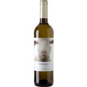 フォンタナ オヴェハ ドライマスカット 13.5度 750ml [白ワイン]