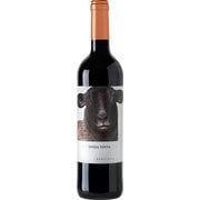 フォンタナ オヴェハ グラシアーノ 14.5度 750ml [赤ワイン]