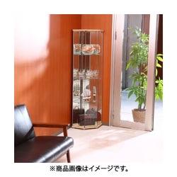 ヨドバシ.com - 不二貿易 FUJI BOEKI ガラスコレクションケース 