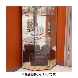ヨドバシ.com - 不二貿易 FUJI BOEKI ガラスコレクションケース 