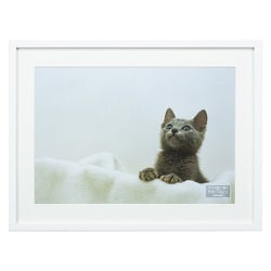 木製写真額/W4ツ切/ホワイト F-SW-116-W
