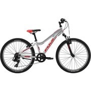 キッズ用マウンテンバイク DYNAMITE 24 24インチ シルバー 21DY24SV24