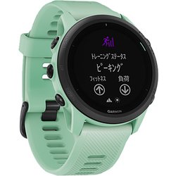 ヨドバシ.com - ガーミン GARMIN 010-02445-41 [ForeAthlete 745 Neo