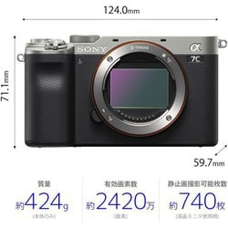 ソニー SONY ILCE-7C S [α7C ボディ 35mmフル  - ヨドバシ.com