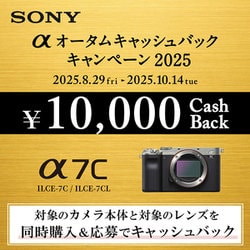 SONY - ヨドバシ福箱　フルサイズミラーレス一眼デジタルカメラとズームレンズセットの夢 ヨドバシ.com - ソニー SONY VLOGCAM ZV-E10 II ダブルズーム