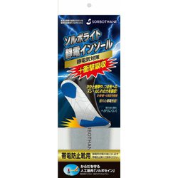 ソルボライト 静電インソール 2S（22.0～23.0ｃｍ） 帯電防止靴用 グレー 61632