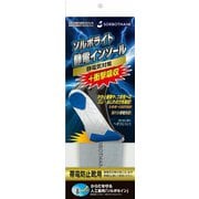 ソルボライト 静電インソール 2L(28.0~29.0cm) 帯電防止靴用 グレー 61636
