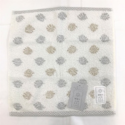 WYT4003 [綿雪のようなタオル フィロ ウォッシュタオル GY]