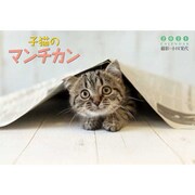 CL-382 [2021年カレンダー 子猫のマンチカン]