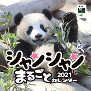 CL-385 [2021年カレンダー シャンシャンまるごとカレンダー]