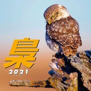 CL-386 [2021年カレンダー 梟 ～ふくろう～]