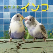CL-387 [2021年カレンダー ふわふわインコ]