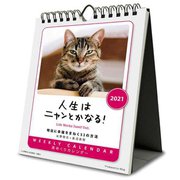 CL-389 [2021年カレンダー 人生はニャンとかなる！]