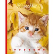CL-396 [2021年カレンダー 卓上 子猫のマンチカン BOOK型]