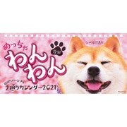 CL-398 [2021年カレンダー 卓上 めっちゃ豆柴カレンダー]