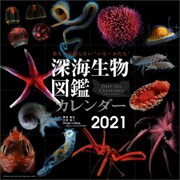 CL-403 [2021年カレンダー 深海生物図鑑]