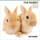 CL-1229 [2021年カレンダー THE RABBIT]