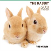 CL-1229 [2021年カレンダー THE RABBIT]