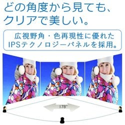 ヨドバシ.com - フィリップス PHILIPS 438P1/11 [42.5型ウルトラ HD