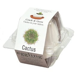 EG-5703 エッグリング カクタス