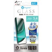 VG-P20S-DR [iPhone 12 mini 用 永久抗菌仕様 ガラスパネル ドラゴントレイル]