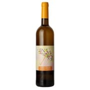 ルダ・カスアル 12度 750ml スペイン/カスティーリャ・ラ・マンチャ [白ワイン]