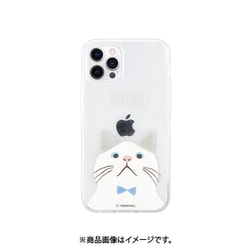 ヨドバシ Com Abbi Friends Abfi12p Iphone 12 Iphone 12 Pro 用 クリアケース ターチャン 蝶ネクタイ 通販 全品無料配達