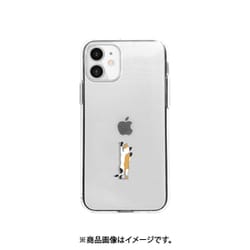 DS19826i12P [iPhone 12/iPhone 12 Pro 用 ソフトクリアケース ねこ]