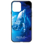 ghp7044-bk-e-iP12mini [iPhone 12 mini 用 ガラスハイブリッドケース ラッセン NEW HOPE]