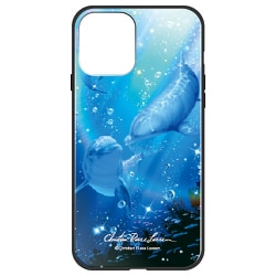 ghp7041-bk-b-ip12 [iPhone 12/iPhone 12 Pro 用 ガラスハイブリッドケース ラッセン DESTINY OCEAN II]