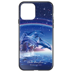 ghp7252-bk-e-ip12 [iPhone 12/iPhone 12 Pro 用 ガラスハイブリッドケース ラッセン RUNA RAINBOW]