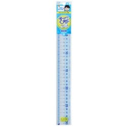 先生おすすめ直定規 30cm APJ257