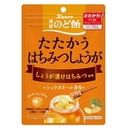 健康のど飴たたかうはちみつしょうが 80g