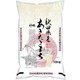 精米 秋田県産 あきたこまち 10kg 令和6年産