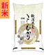 新潟県産こしひかり 5kg 令和7年産