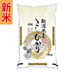 新潟県産こしひかり 5kg 令和7年産