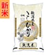 無洗米 新潟県産 こしひかり 5kg 令和7年産