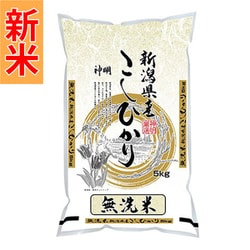 無洗米 新潟県産 こしひかり 5kg 令和7年産