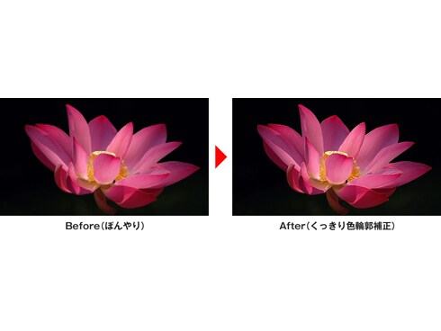 ヨドバシ.com - パナソニック Panasonic ブルーレイディスク