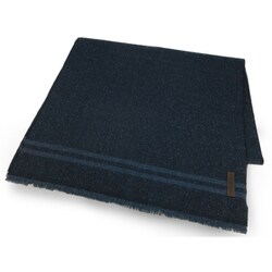ZEGNAマフラー 楽天市場】ermenegildo zegna マフラーの通販