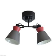 LARKS ラークス 2灯シーリングスポットライト ダークグレー(電球別売り) LC10976-DG