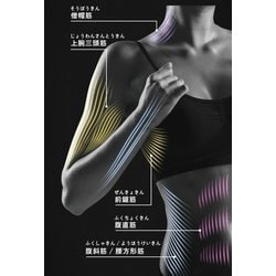 ATEX ルルドスタイル EMSパワーロール AX-FRL904 EMSパワーロール AX-FRL904｜ブランド｜株式会社アテックス