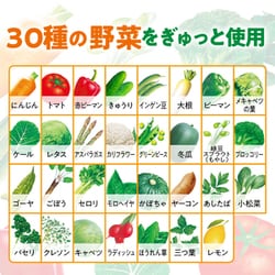 ヨドバシ.com - 伊藤園 1日分の野菜 1日分の野菜 30日分BOX 紙