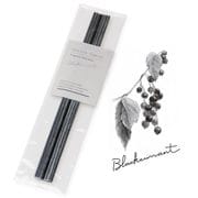 gtst-005 [フレグランスリードスティック Blackcurrant]