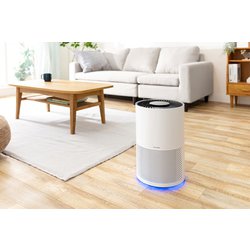 新品未使用品 IRIS OHYAMA IAP-A35-W 空気清浄機 insdenki-y_517497